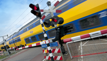 dynamisch2.jpg